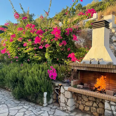 Adamas * Сивота